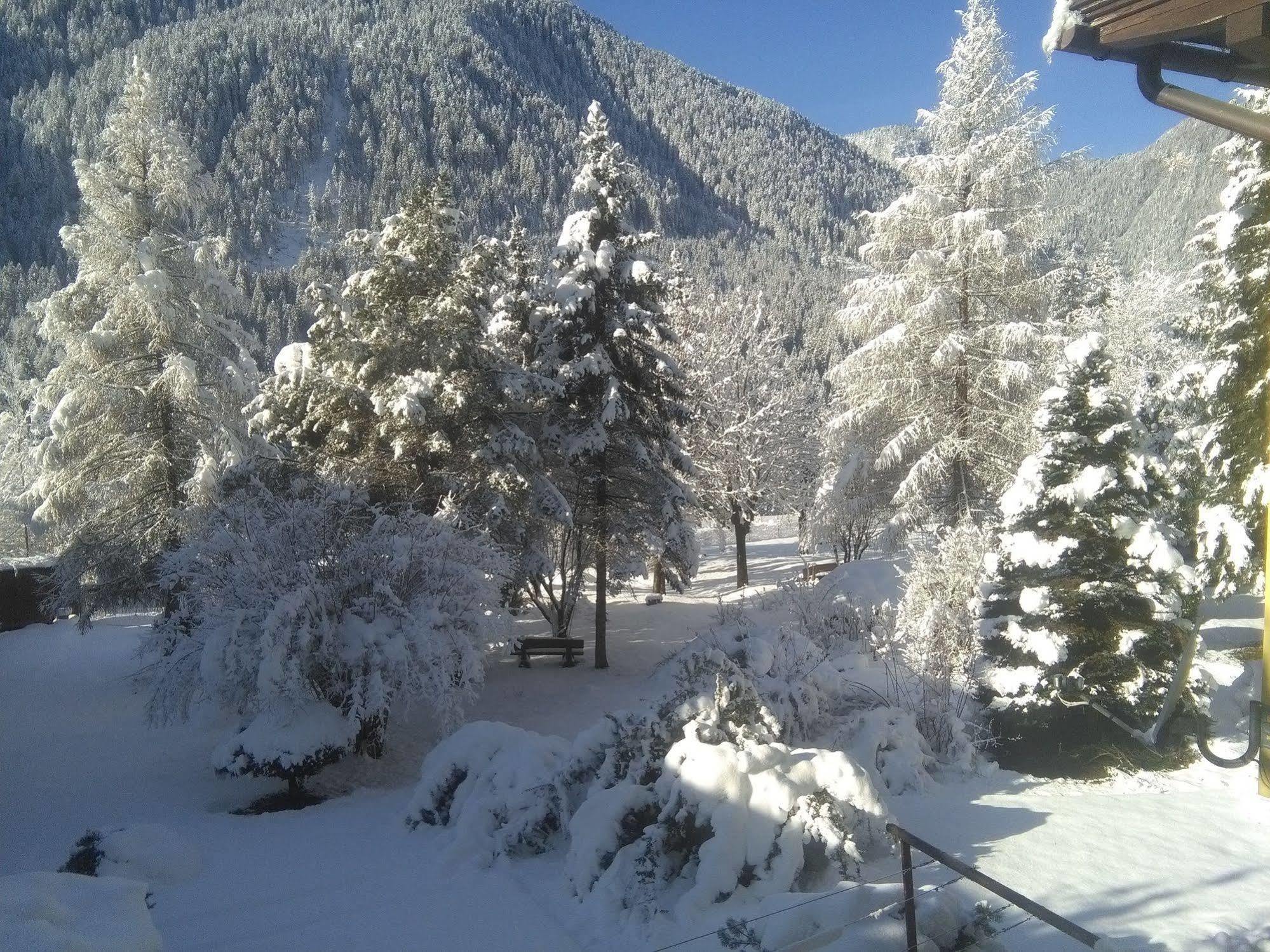 Hotel Auronzo Auronzo di Cadore Esterno foto